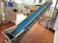 Stainless Steel Portable Inclined Motorised Conveyor